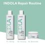 Indola - Repair Intense Treatment - 250 ml